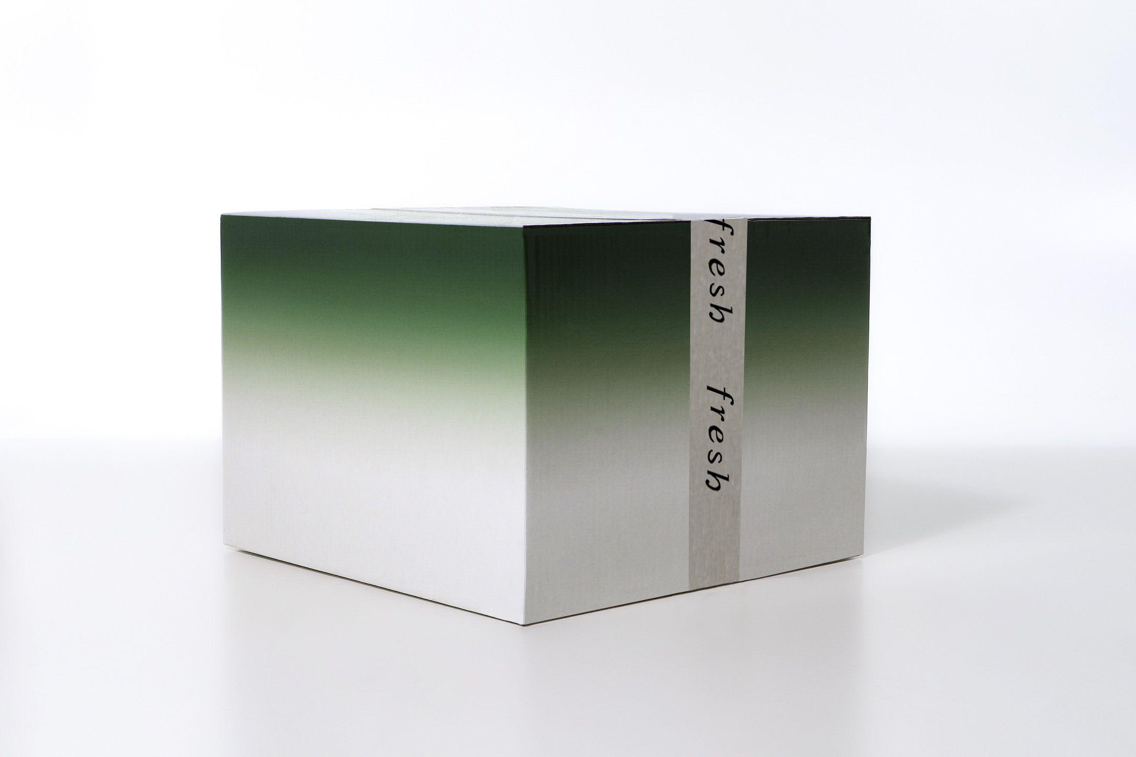 Fresh Beauty Soy Cleanser PR Mailer frosted gradient box with product fitments